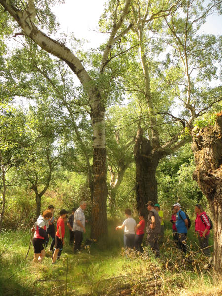 Investigando arboledas en Huesa del Común (Teruel, Aragón) (2022).