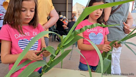 22 de junio de 2024. II fiesta del río Aguasvivas en Blesa (Teruel). Juegos con plantas, por A. Cirujeda