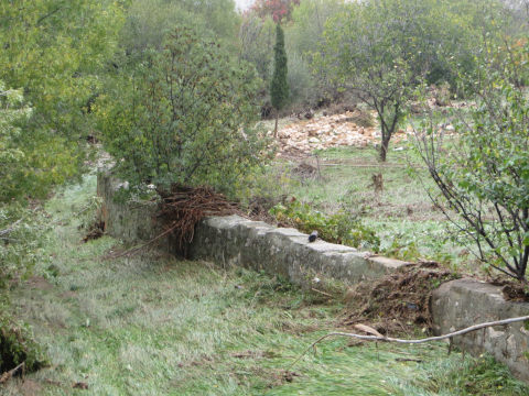 riada río Aguasvivas 30 de octubre de 2024. Huesa del Común