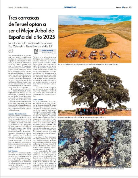 Diario de Blesa y el concurso de árbol del año 2025. Carrasca de Blesa y Foz Calanda y Peracense.