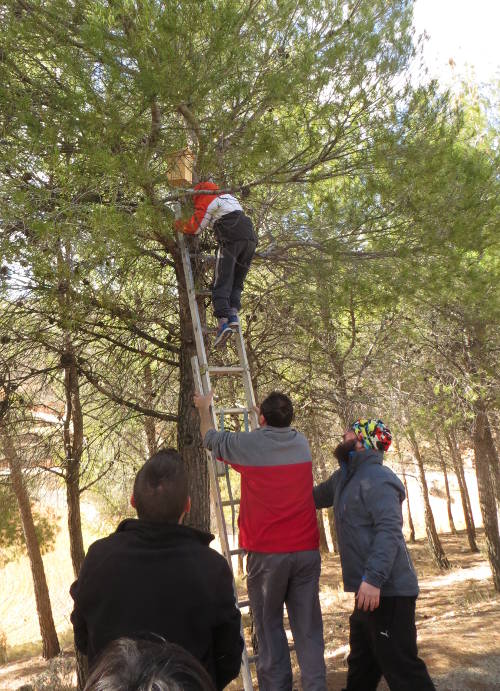 Fiesta del Arbol en Blesa, 2018