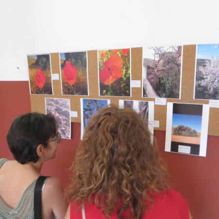 Exposición del concurso fotográfico de Blesa 2022