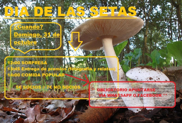 Cartel de día de las setas 2021 en Blesa.