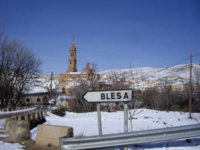 Blesa nevada