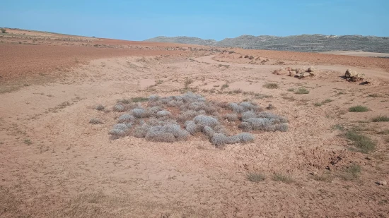 El verano extremadamente seco de 2024 en Aragón deja las basas secas. Balsete Royo en Blesa (Teruel)