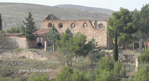 Ruinas de la ermita del Pilar de Blesa. Situación general de la ermita entre los árboles  (foto F.J.L.A.)