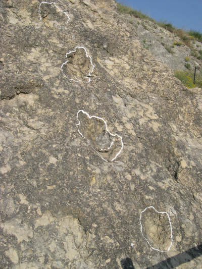 Atractivos paleontológicos y arqueológicos en Ariño (Teruel).