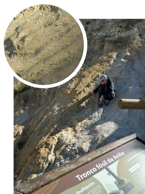 Atractivos paleontológicos y arqueológicos en Ariño (Teruel).